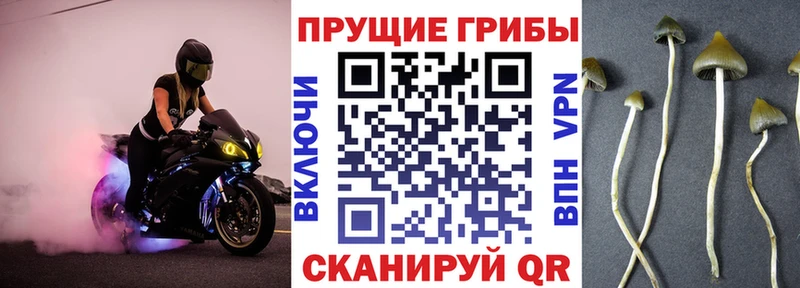 Галлюциногенные грибы GOLDEN TEACHER  Окуловка 
